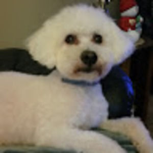 Meet your Posher, Kathleen j